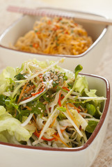 Micro Greens Salad with Sichuan Noodles