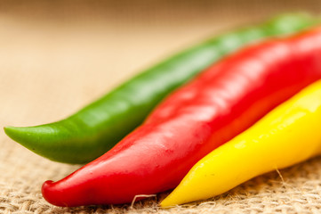 Habanero Jalapenos und Chili