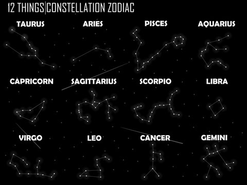 beautiful design of zodiac constellation,vector of horoscopes