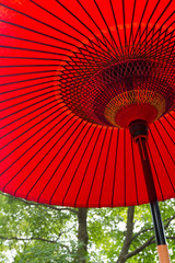 Japanese red umbrella under tree