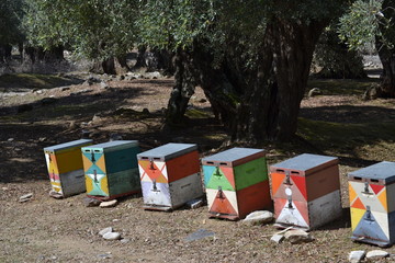 Bienenst&ouml;cke eins