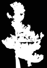 curved pine tree white silhouette illustration