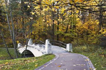Autumn park with bridge over the ravine