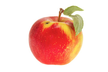 one apple with a leaf on a white background