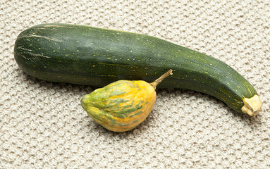 Pumpkin and zucchini on the fabric