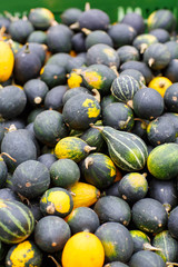 bunch of plump and juicy holiday pumpkins