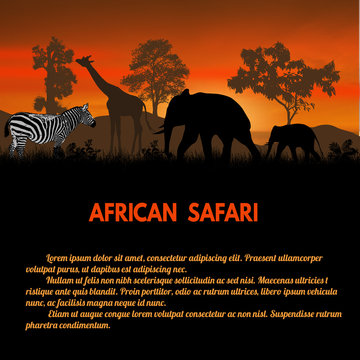 African Safari poster