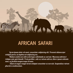 African Safari poster - obrazy, fototapety, plakaty