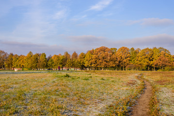 Typical Russian nature - a beautiful Park in autumn, Peterhof, St. Petersburg, Russia.