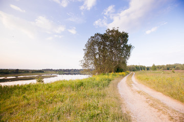 Spring summer background - rural road in green grass field meado