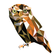 Obraz premium low poly bird vector
