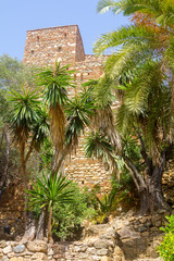 Courtyards and gardens of the famous Palace of the Alcazaba in Malaga , Spain