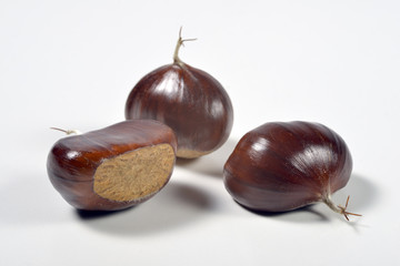 Chestnuts on white plane