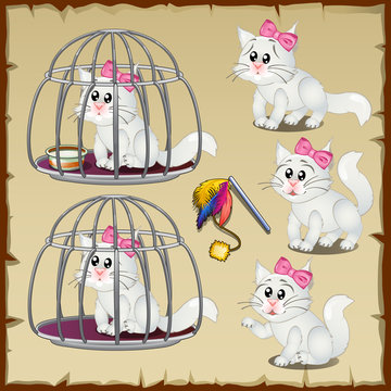 Set of fluffy white cats trapped in a steel cage