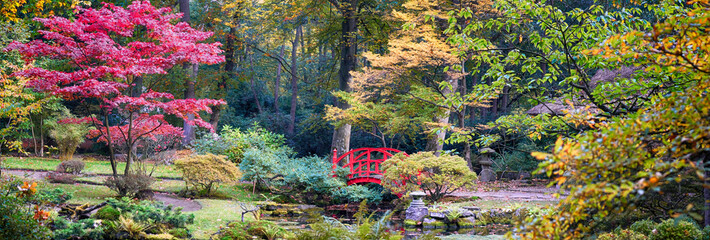 Panele Szklane Podświetlane  jesień w japońskim parku, panorama