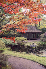 autumn  in Japanese park