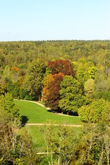 солнечная осень