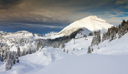 Fototapeta premium Beautiful fresh powder landscape with pine trees in Les Portes du Soleil in the European Alps