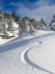 Wandaufkleber Toller erster Track an einem sonnigen Powdertag in Les Portes du Soleil in den europäischen Alpen © dennisvdwater