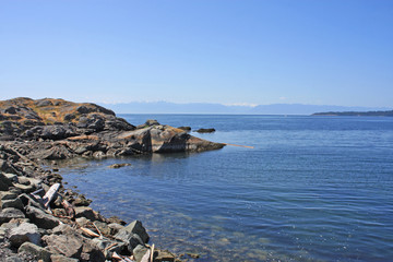 Fototapeta na wymiar coast of Vancouver Island