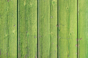 Fototapeta na wymiar Grüne Holzwand Hintergrund Textur Leer