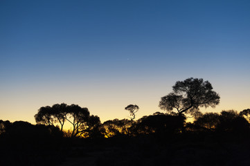 Fototapeta na wymiar Australian Sunset