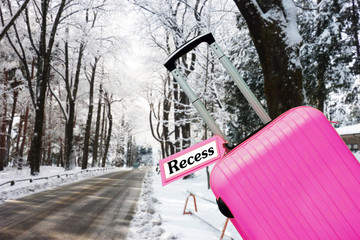 Recess. Suitcase with label at snow.