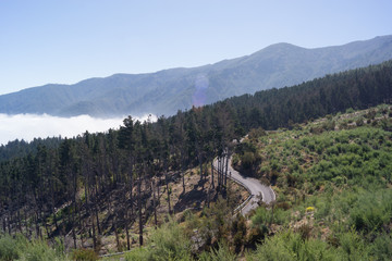 Fototapeta na wymiar Ausblick im Teide National Park
