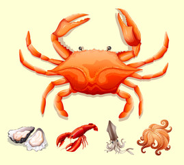 Different kind of seafood