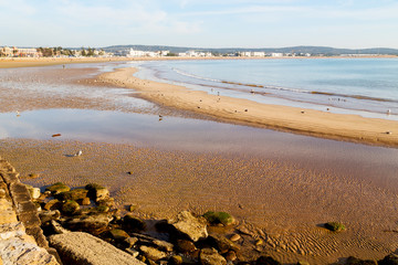 abstract in    sea africa ocean      and  bird
