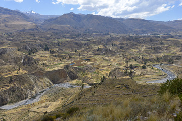 Fototapeta na wymiar Cañón del Colca, Perú
