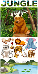Naklejka premium Wild animals living in the jungle