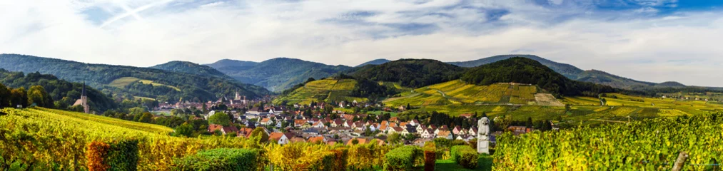 Fototapeten Beautiful colorful vineyards, autumn in Alsace © 31etc