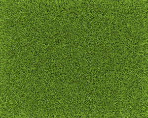 Grass background
