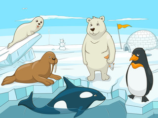 Naklejka premium Arctic animals educational game for kids vector 