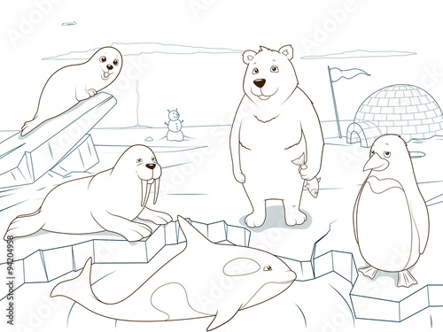 42 Arctic Animals Coloring Book HD 42 Arctic Animals Coloring Book HD