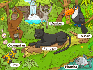 Jungle forest with animals cartoon vector © Oleksandr Pokusai