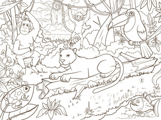 Fototapeta na wymiar Jungle forest animals cartoon coloring book