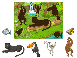 Jungle cartoon educational game find animal vector © Oleksandr Pokusai