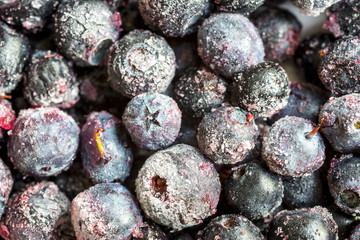 Frozen blueberries

