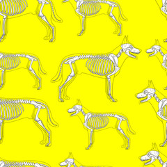 Fototapeta na wymiar Dog skeleton seamless pattern background vector