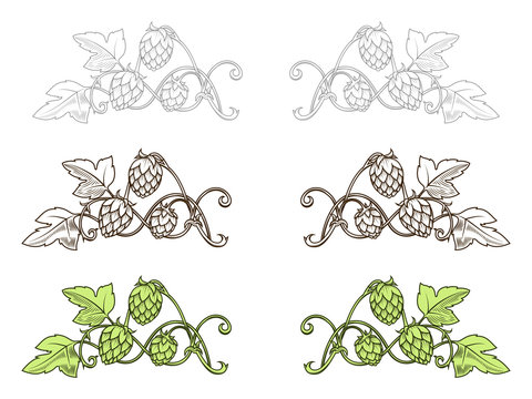 Hops ornament vector illustration