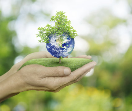 Planet and tree in human hands on green bokeh background, Save t