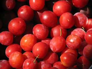 Small red plums