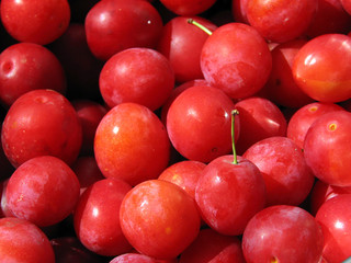 Small red plums