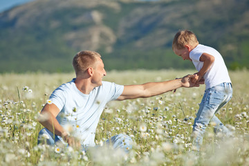 Naklejka na ściany i meble Happy father are playing with son in camomile field