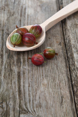 Ripe gooseberries in a wooden spoon