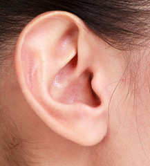Fototapeta premium Female ear