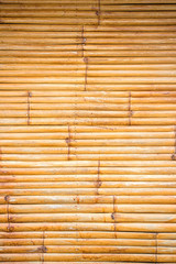 bamboo background and texture
