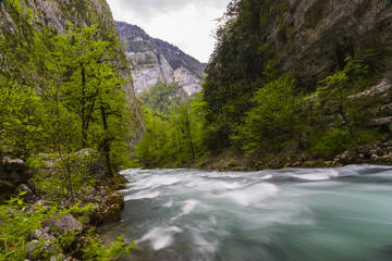 Fototapeta na wymiar mountain river in Abkhazia